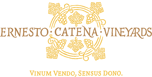 Ernesto Catena Vineyards